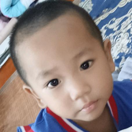 ，，，，红色枫叶