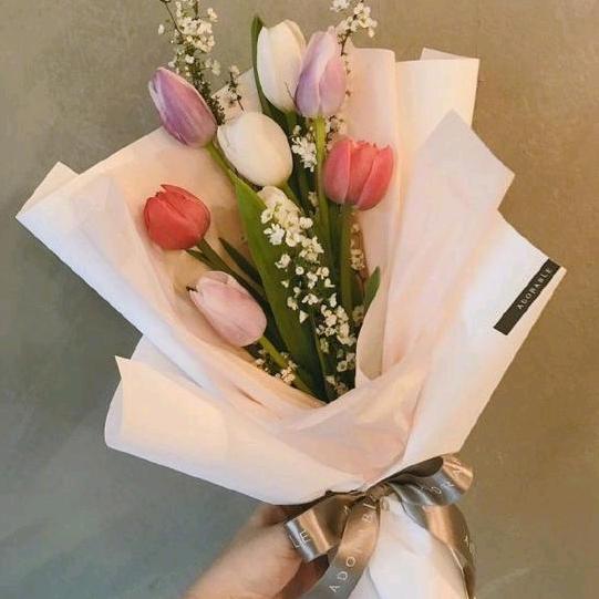 💋桃汽``