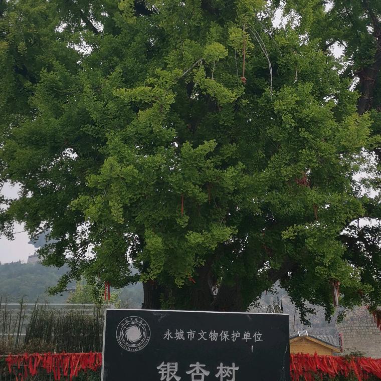 长江水