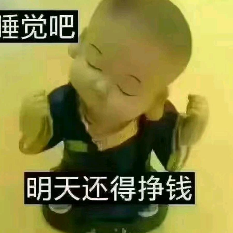 何新志