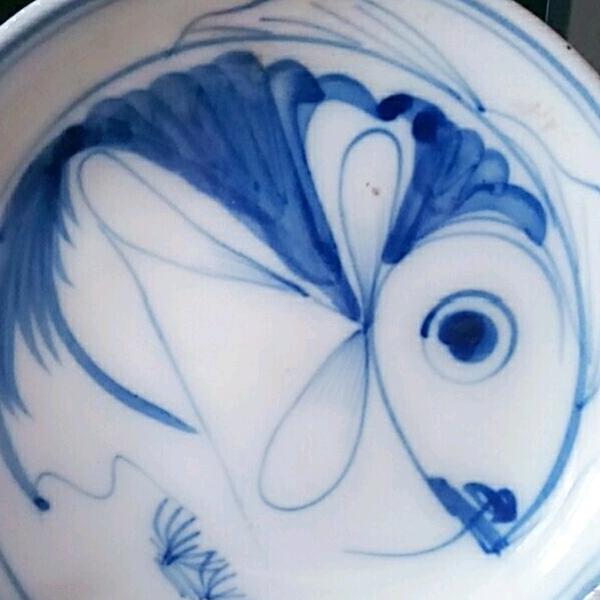 小海阳
