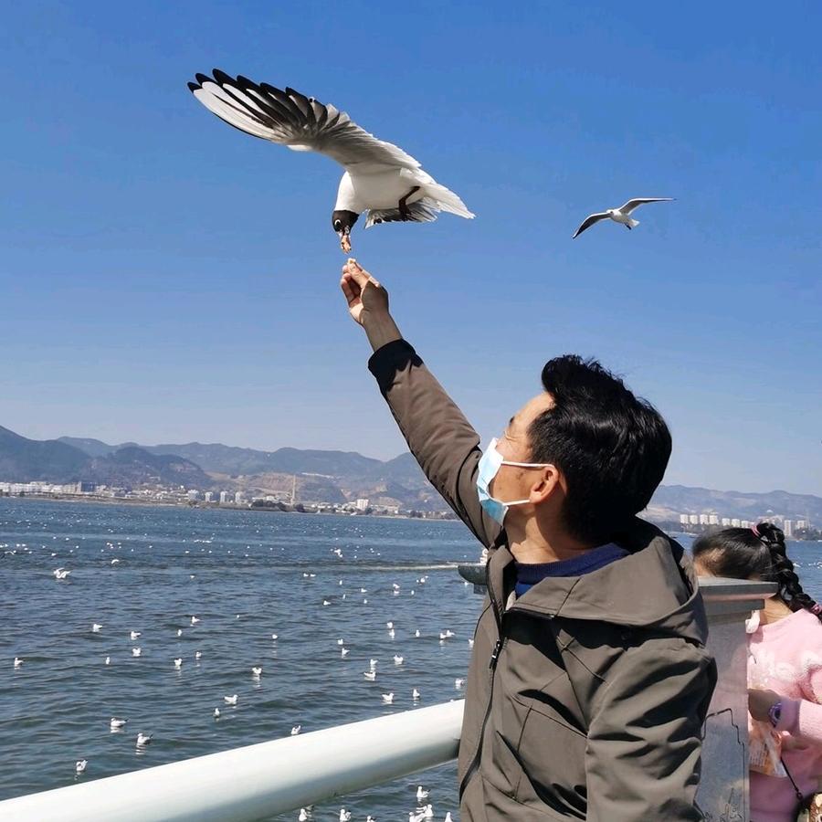 云南国勤商贸有限公司