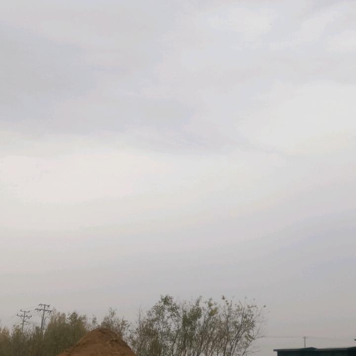 金淼