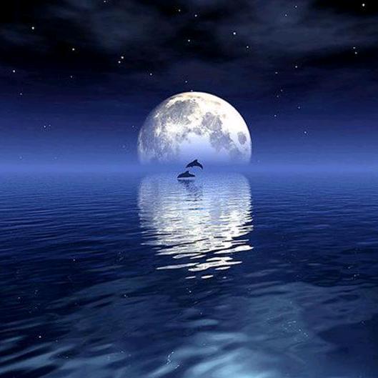 鸿荣数码影音店