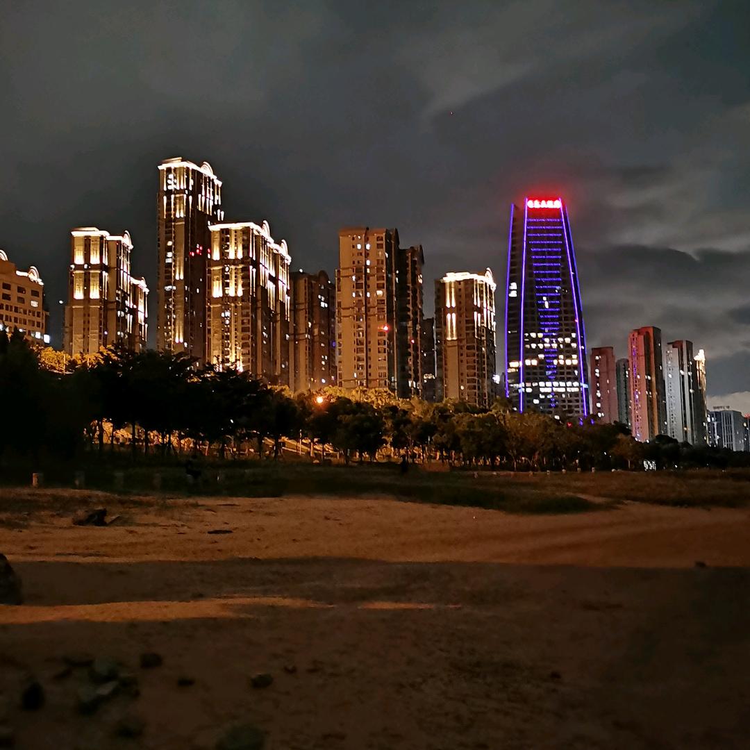 淡泊明志