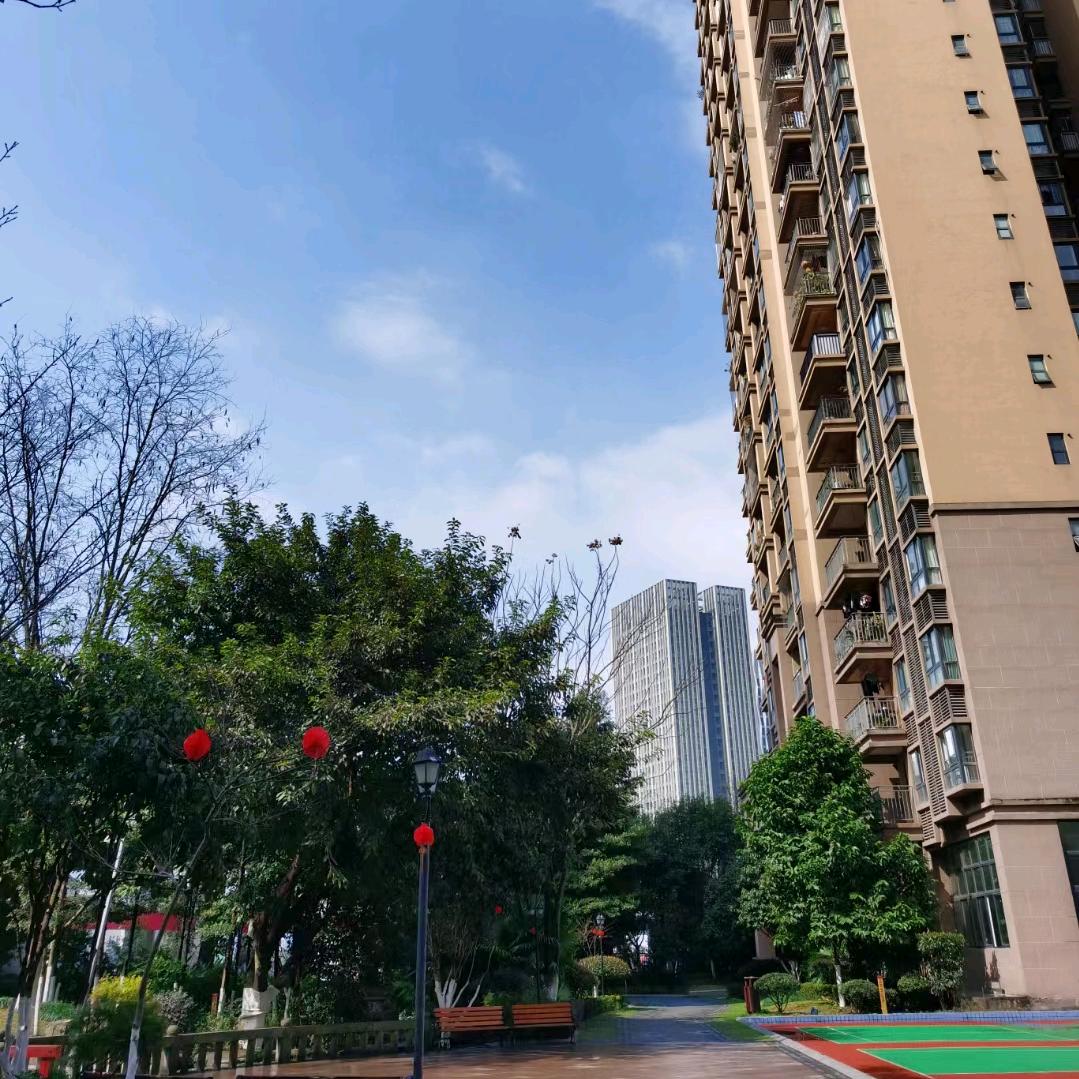 七零后的尾巴💫