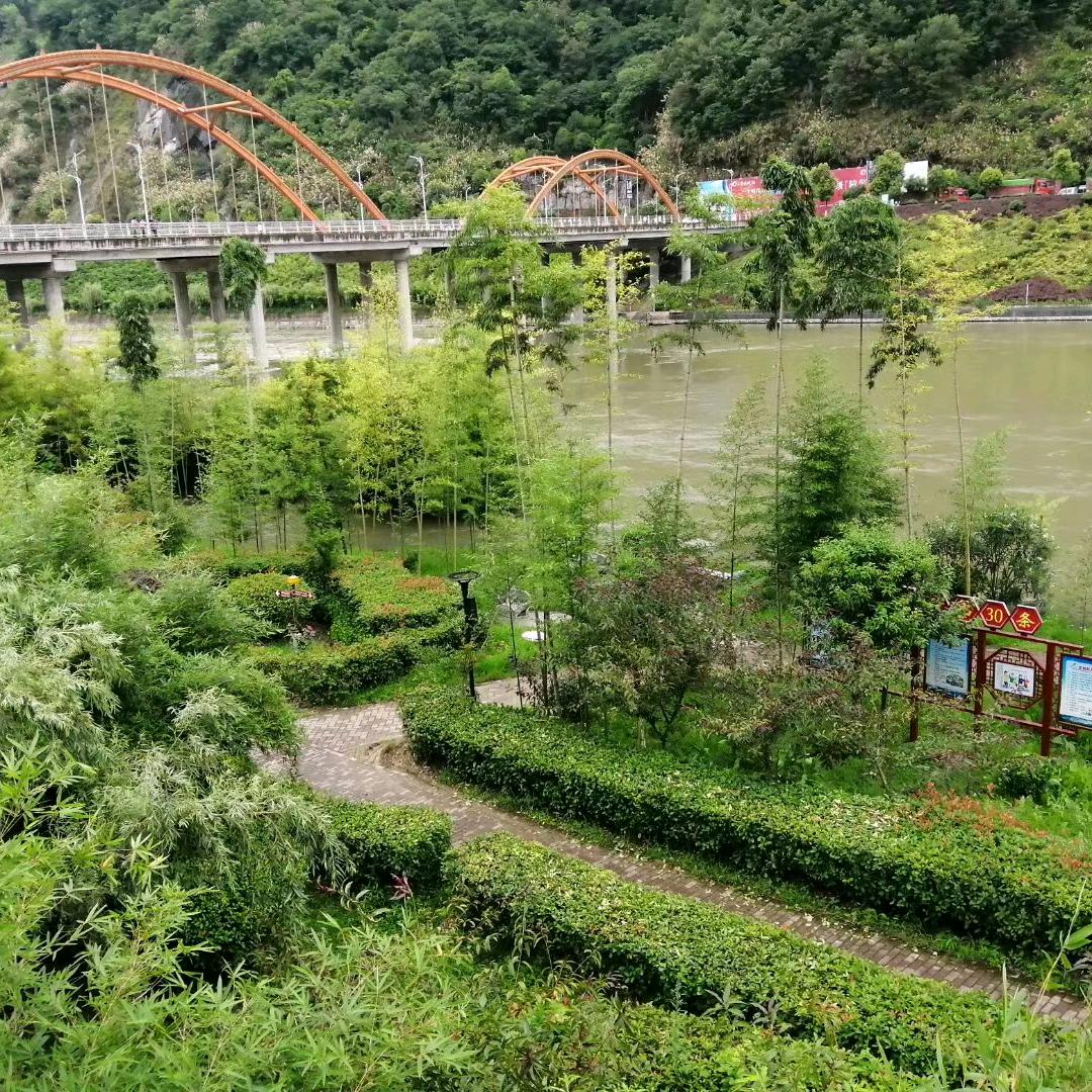 飞哥传棋