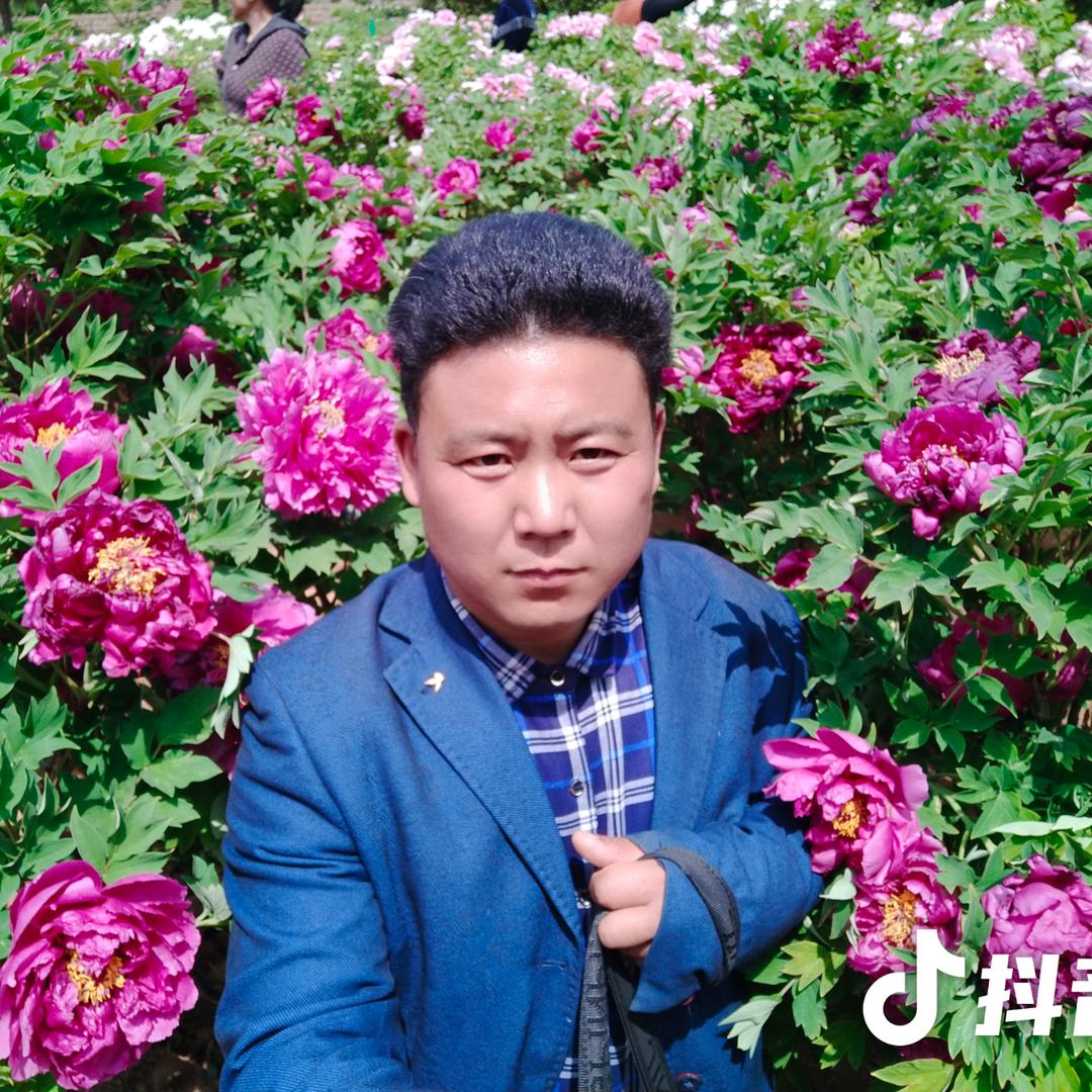 生命之河