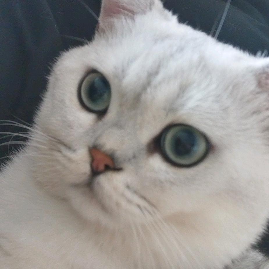 用户4181569126878饕餮