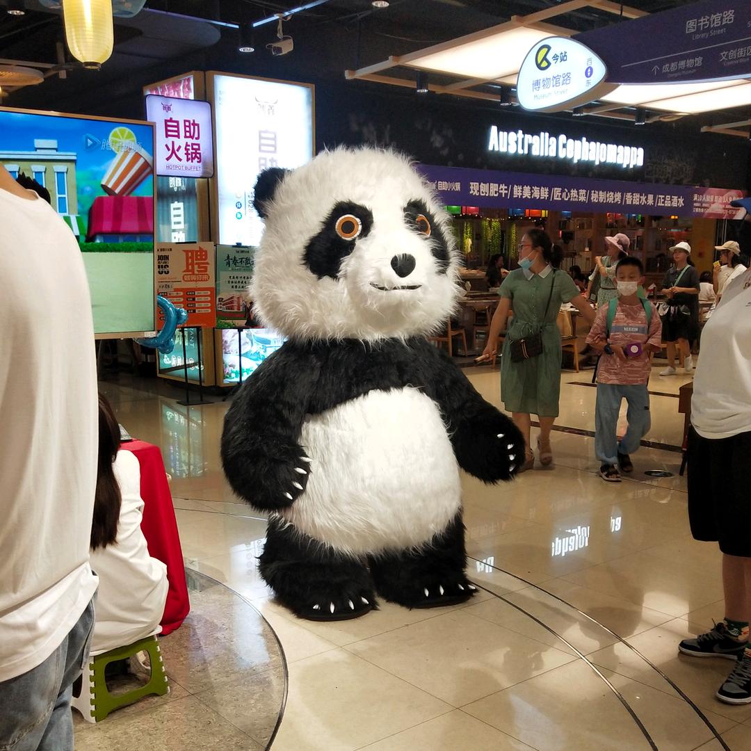 喜欢黑猩猩的阿凯头像