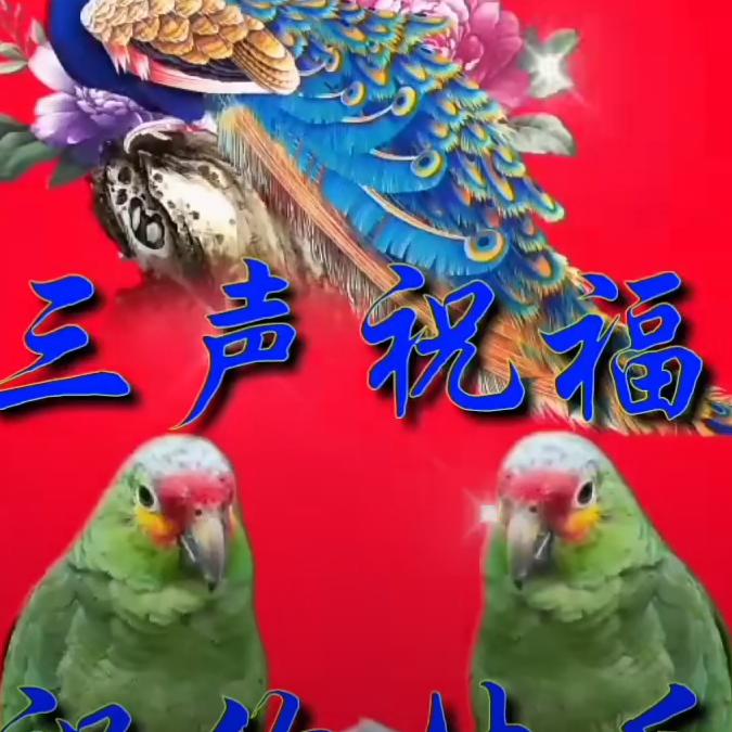 用户1528731276673
