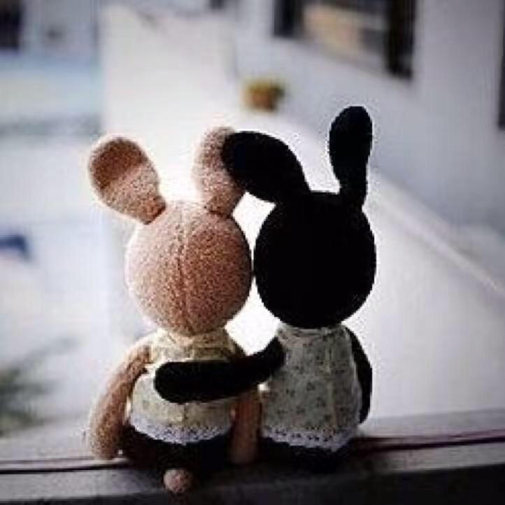 🌈名字还没想好