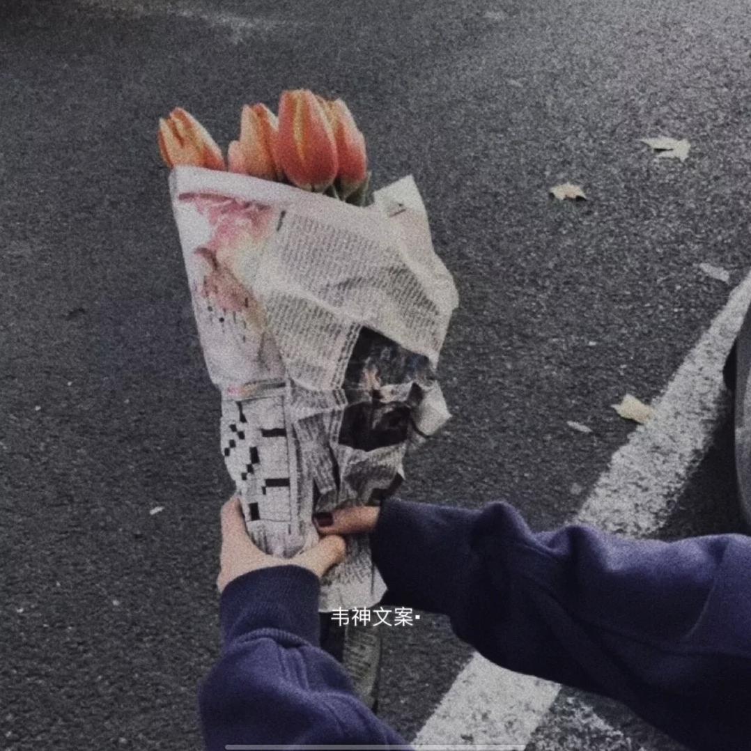 椰子㈦