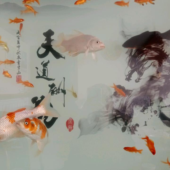 🔥脚踏实地🔥