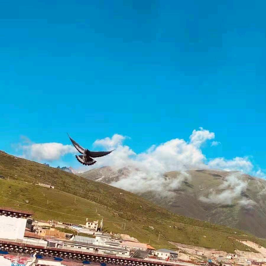 遇见小幸福优选