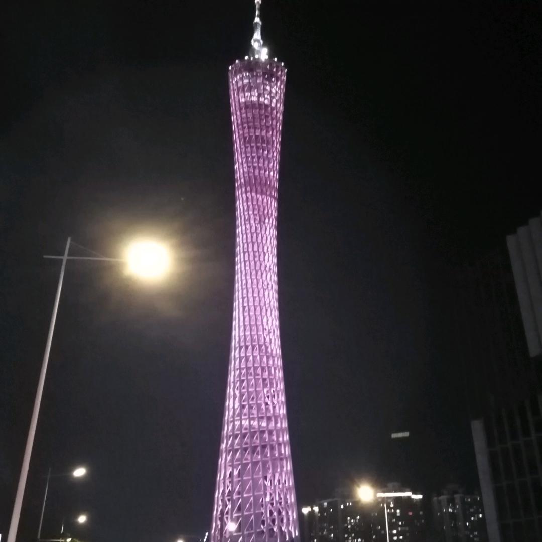 燕子