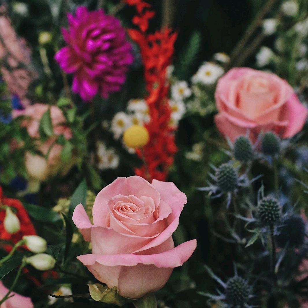 英雄有梦🐯⁵²⁹⁹