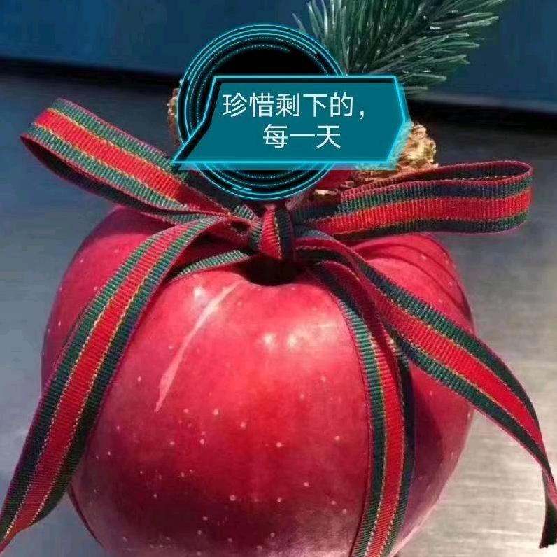 曾子曾