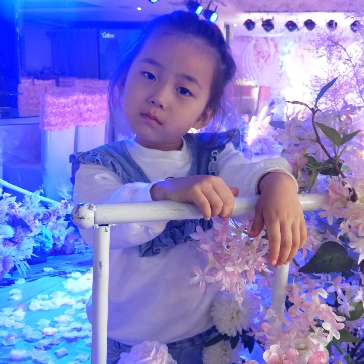 起风的夜🧚‍♀️
