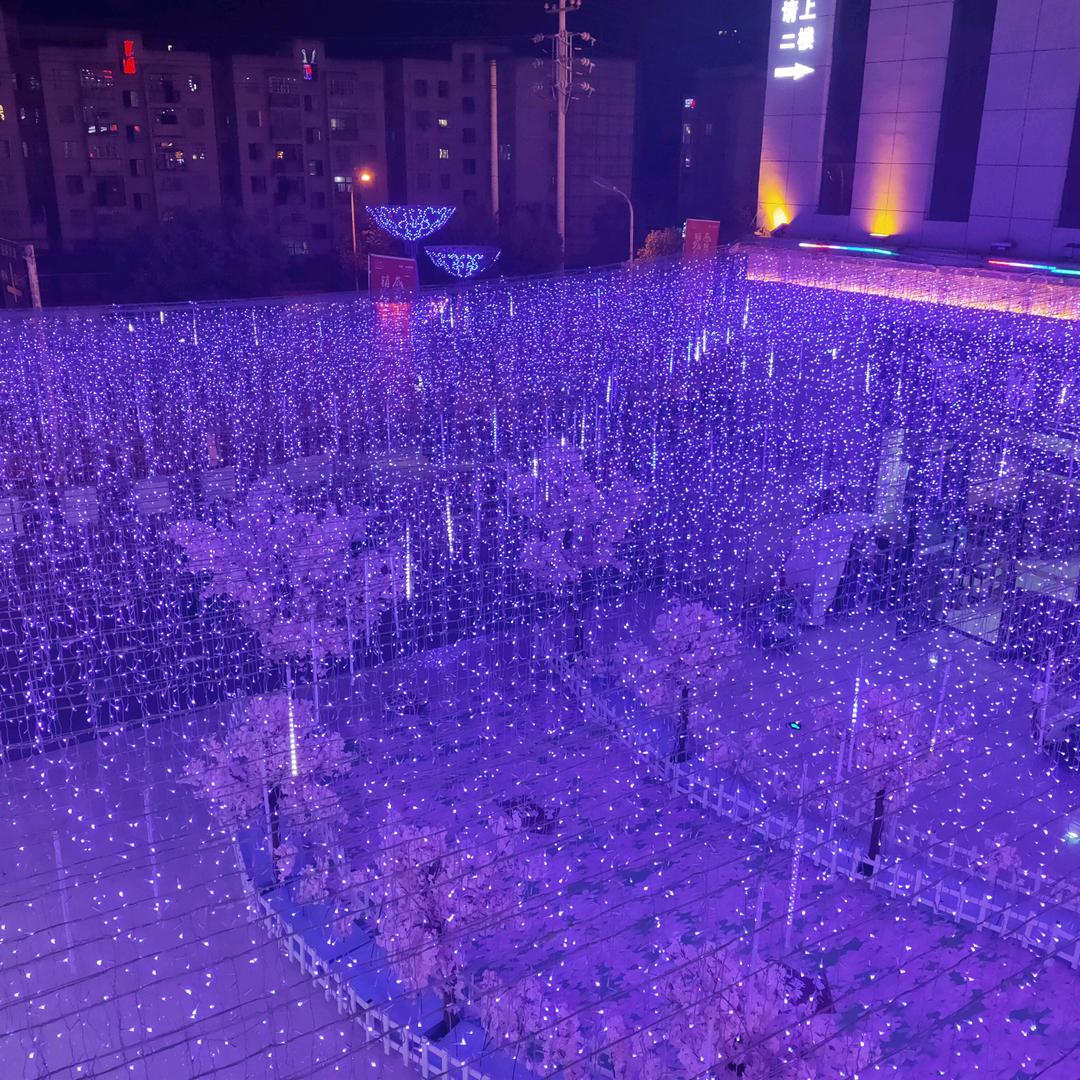 不识愁一夜白头