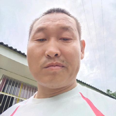 单身强哥