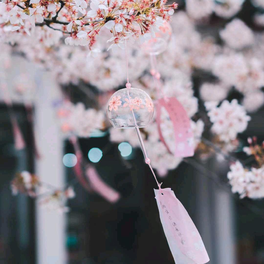 ˻˳˯ₑ夏沫