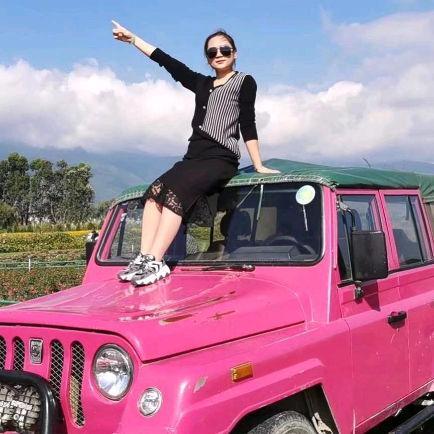 临颍鑫龙蛋糕月饼之燕儿飞飞