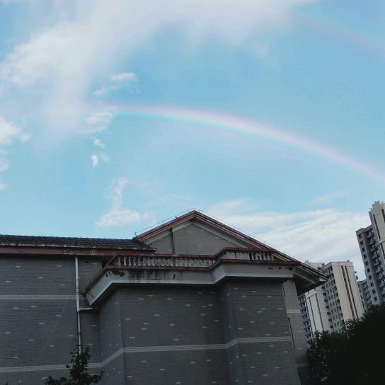 盐而有信