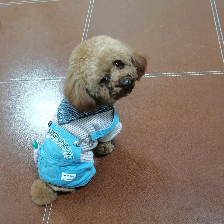 随心自在