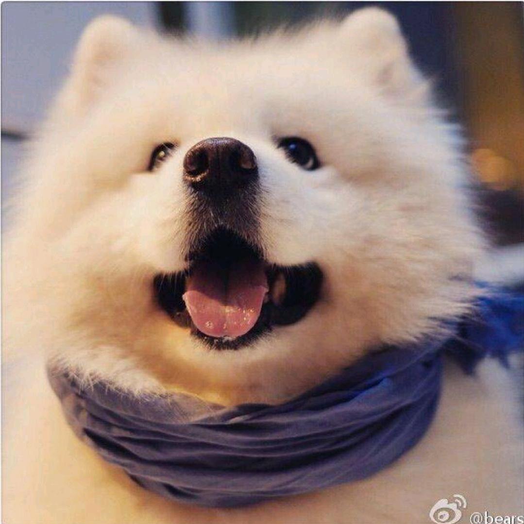 Seven—惠质兰心