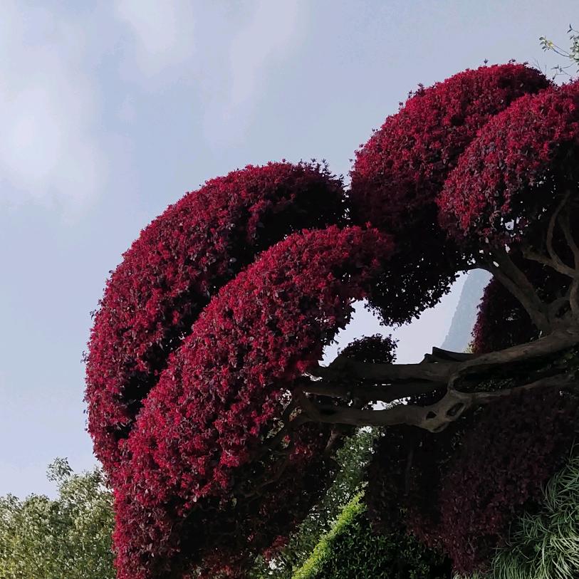 ໑ຼₒ₂₃ღ᭄幸运🕊꧔ꦿ᭄