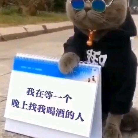 明哥👮