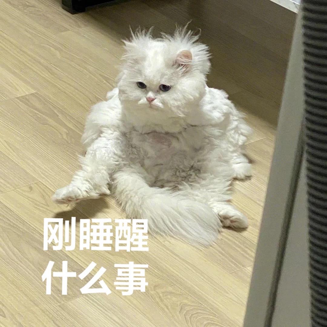永远叫不醒