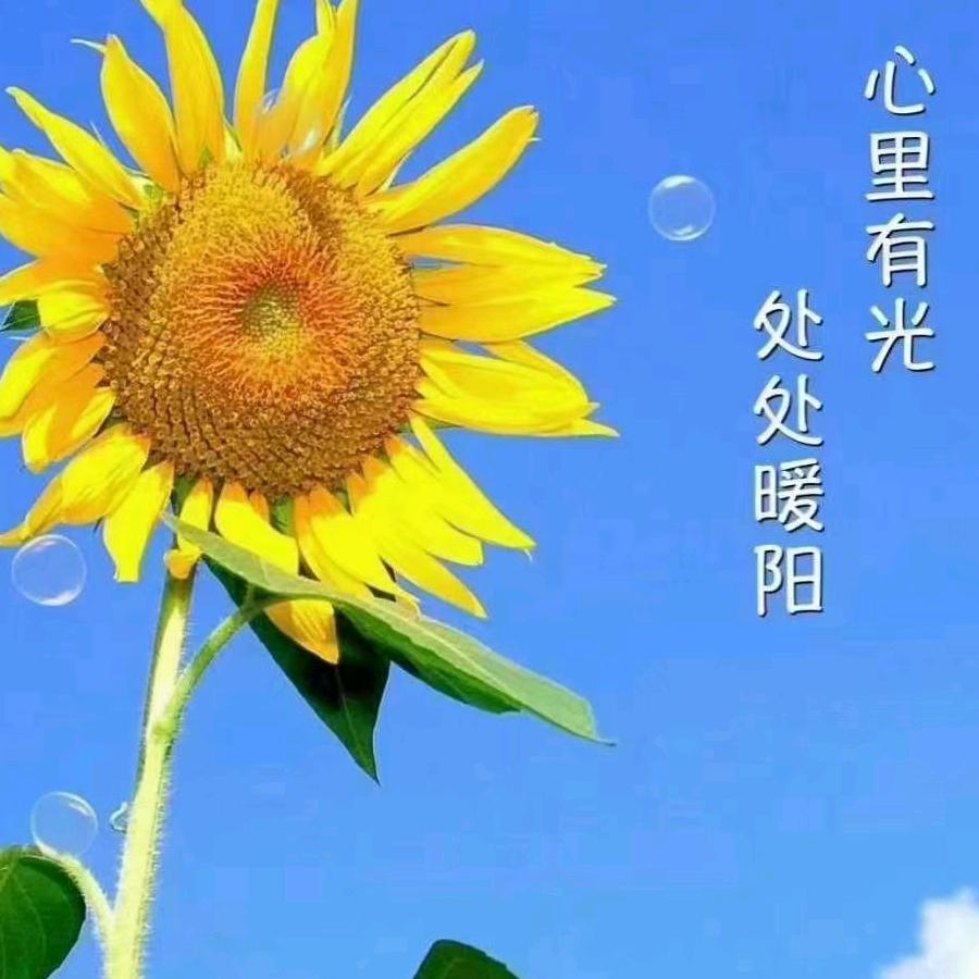 寄予慕年
