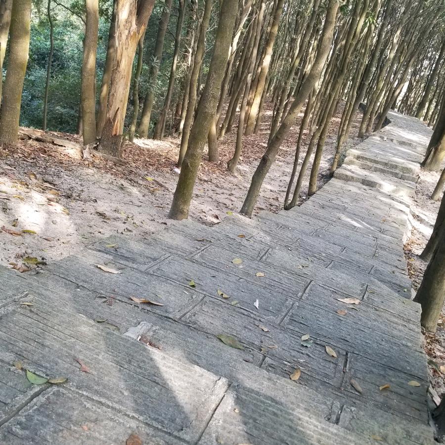 流浪的安徽人