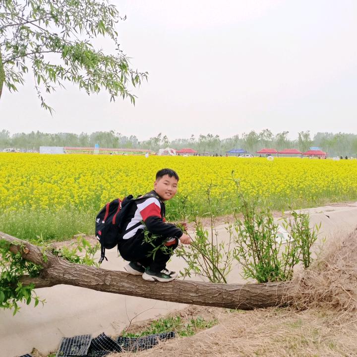 乘风飞翔