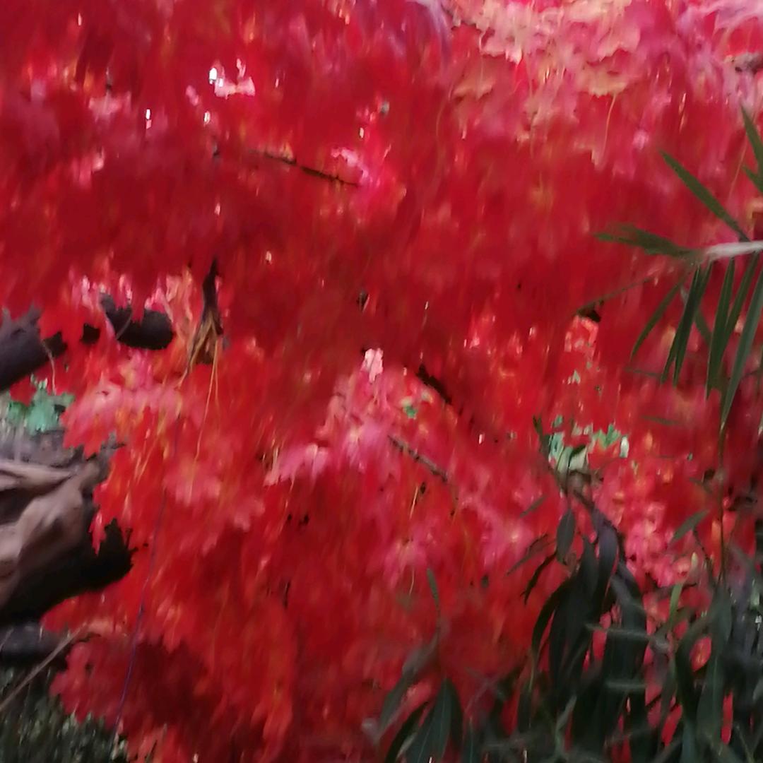 用户9938894268210快乐人生