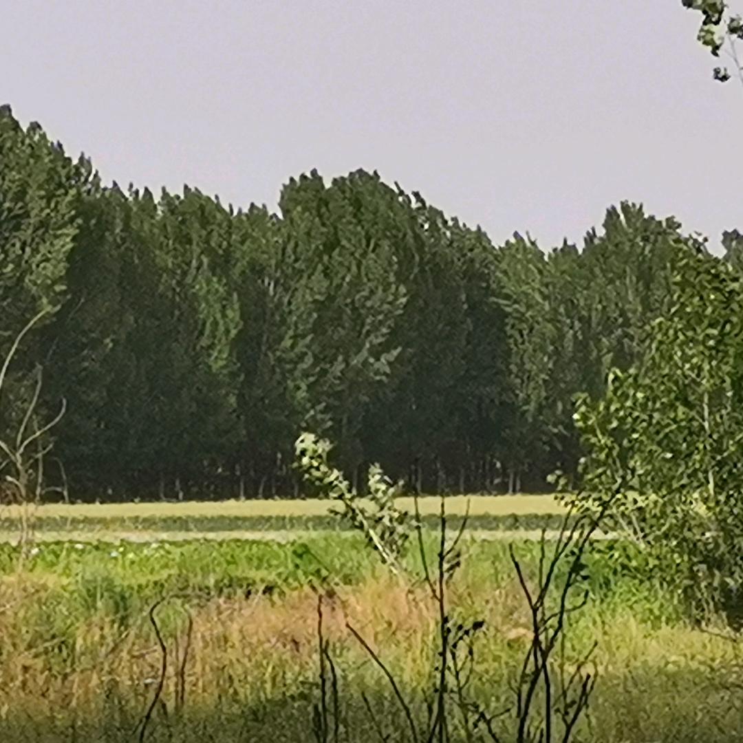 123