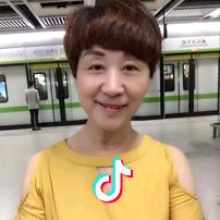 金菊