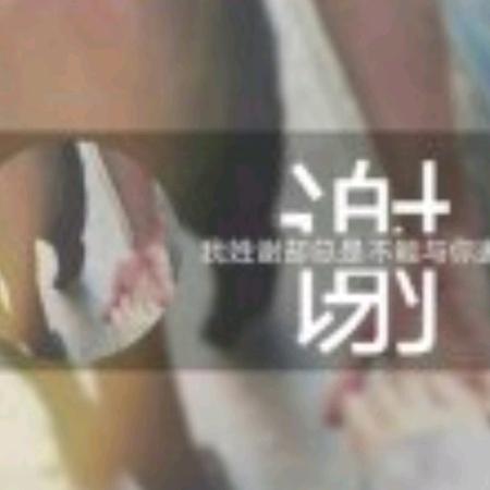 小小松鼠
