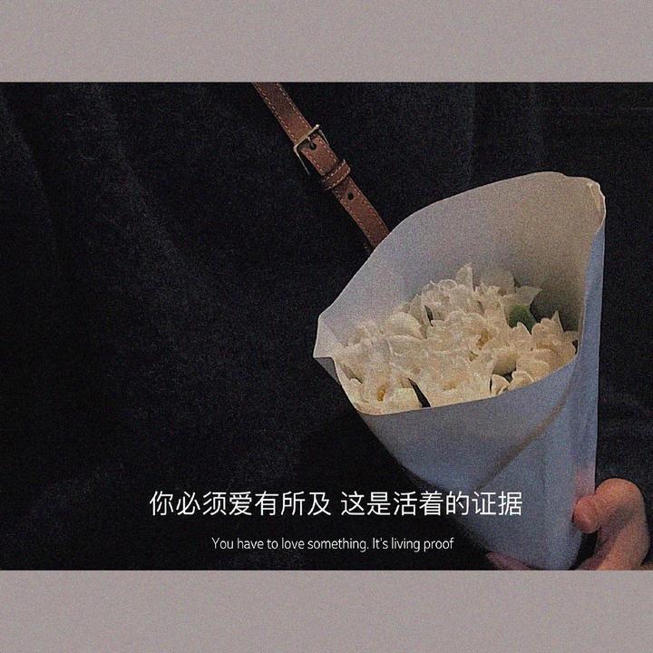 重铸辉煌、渤海特工、全方位、一条龙、