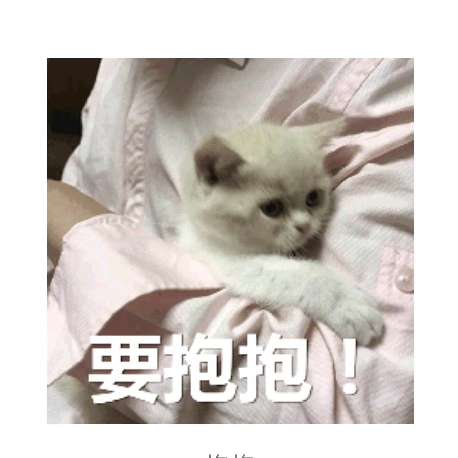 小杨