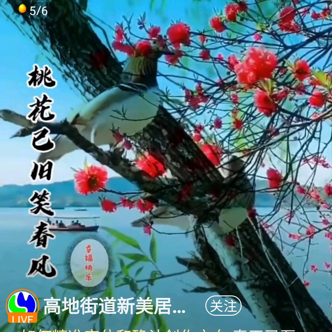 张