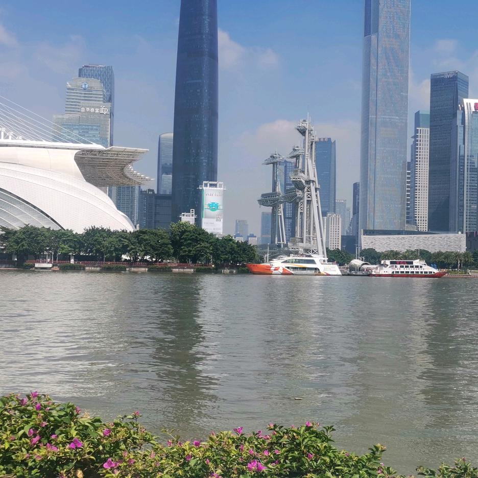 情非得已