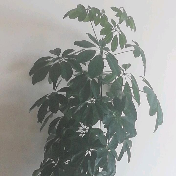 用户名90521029头像