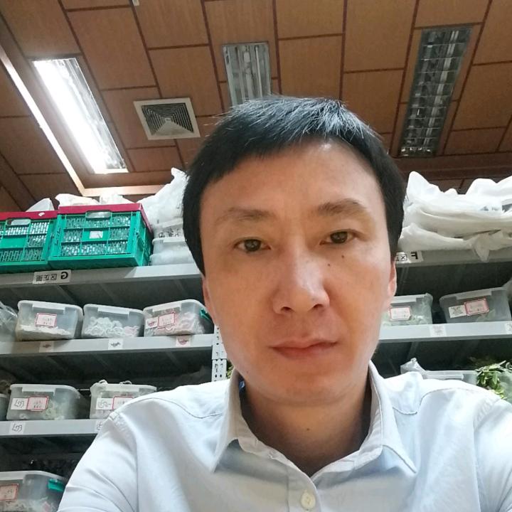 十八掌