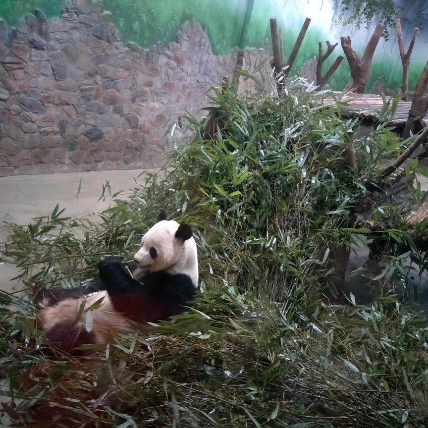 小五