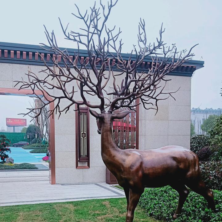 心雨柠檬
