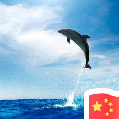 寒冰512