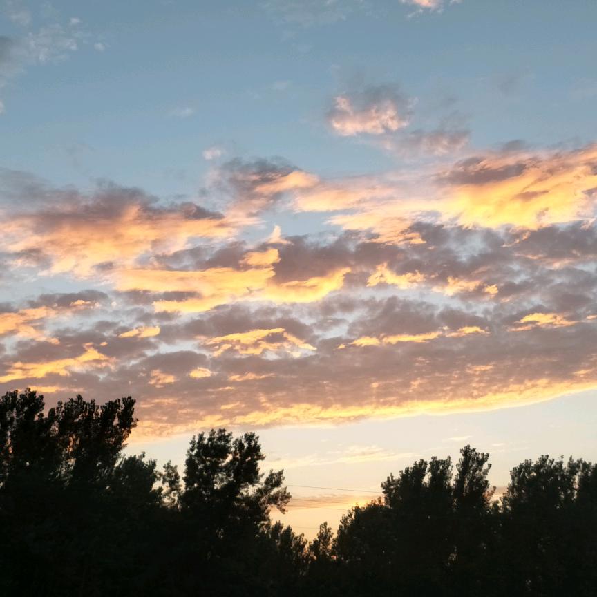 影视剧场、老铁